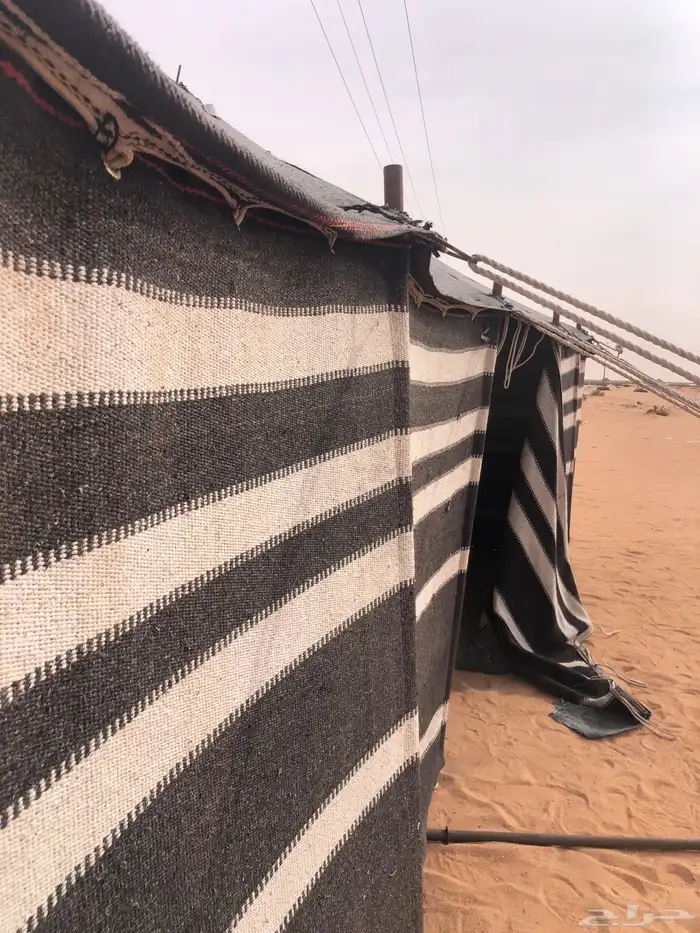 بيت كفو اخو الجديد 9 5 ( مايخر المطر ) 10