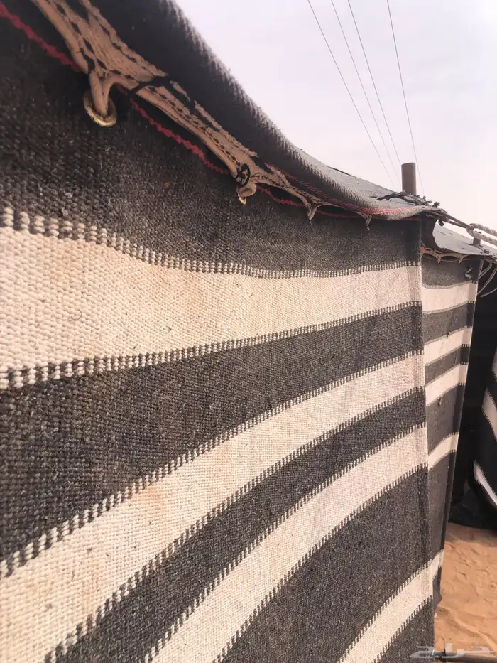 بيت كفو اخو الجديد 9 5 ( مايخر المطر ) 9