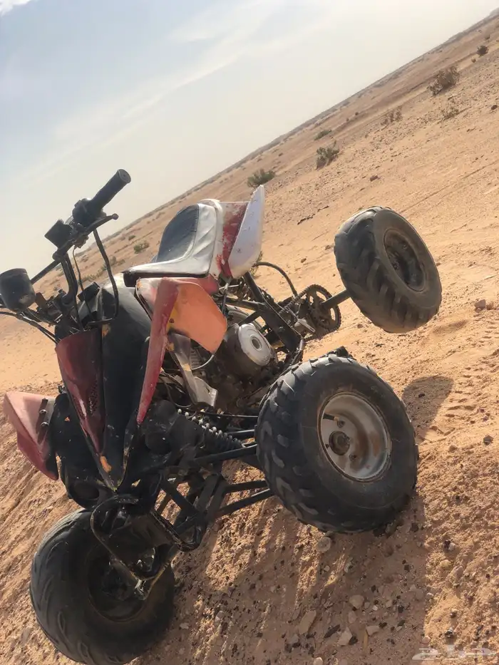 دباب للبيع فراشه 1