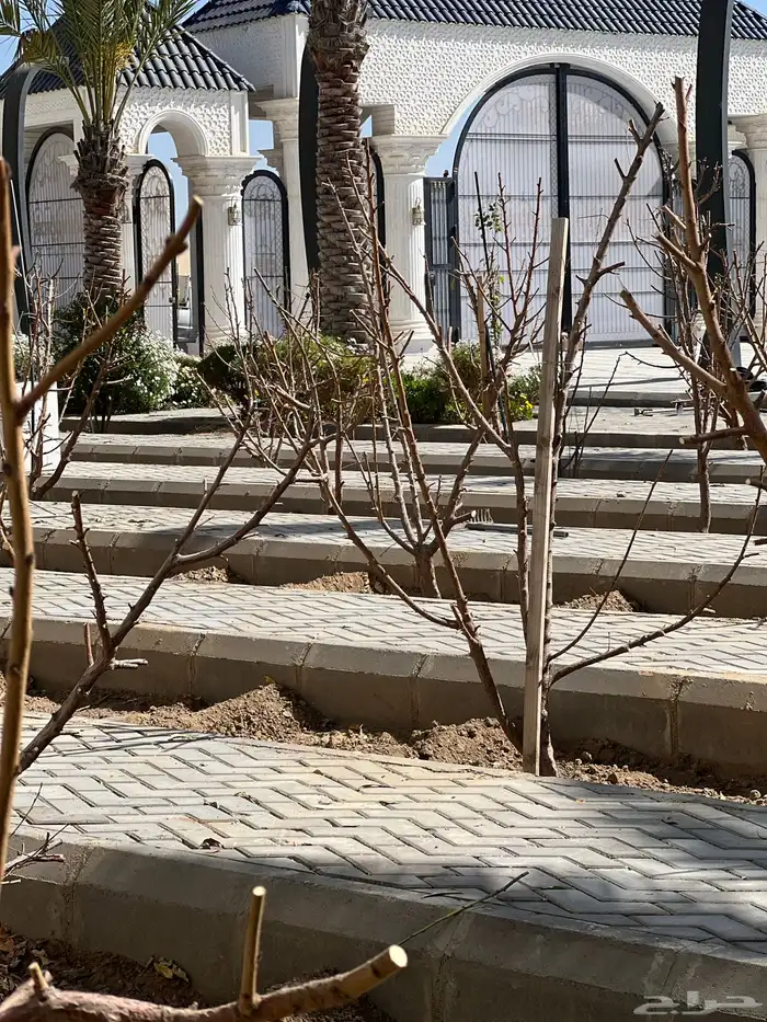 زراعه وحدائق 16