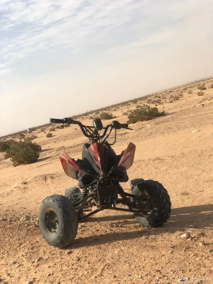 دباب للبيع فراشه 5