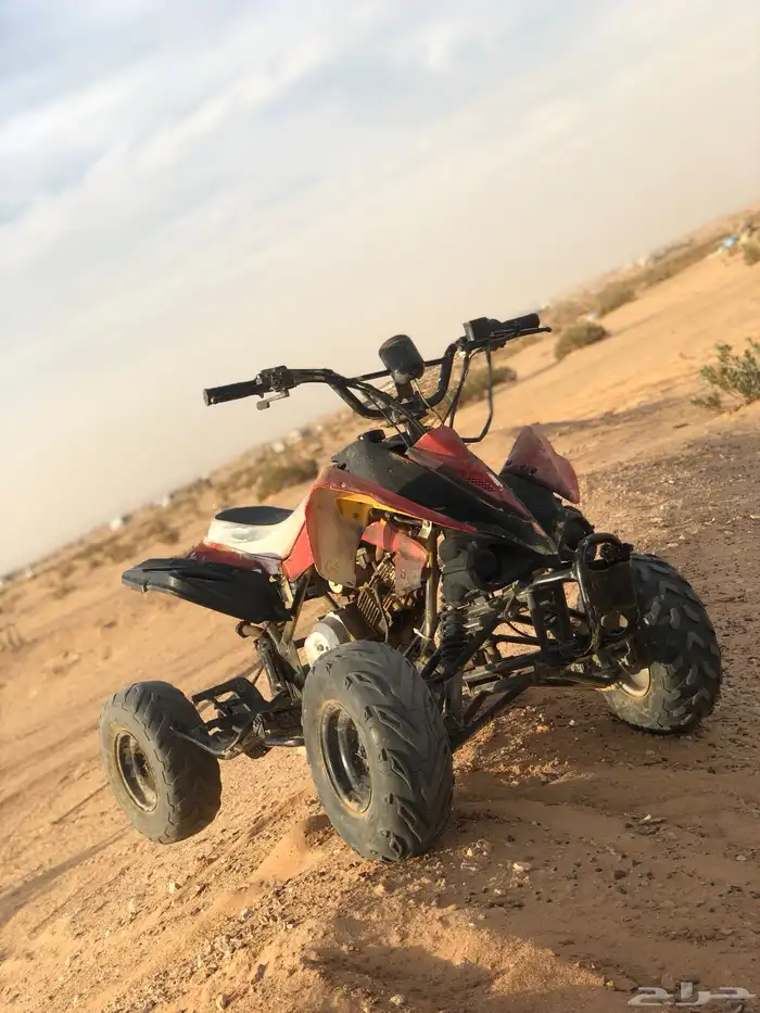 دباب للبيع فراشه 2