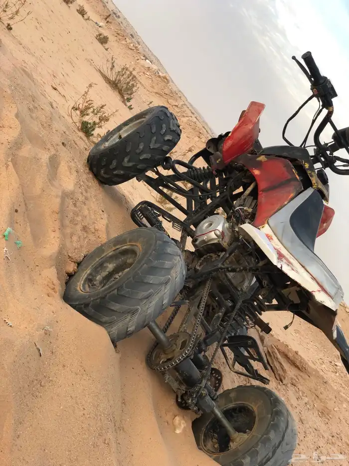 دباب للبيع فراشه 0