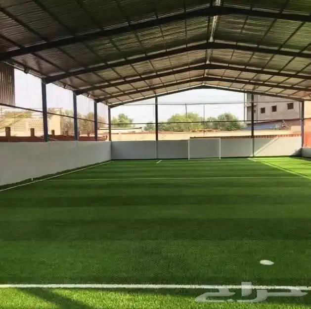 تصميم حدايق وانشاء ملاعب وجميع الجداريات الخارجيه ثريدي تود 2