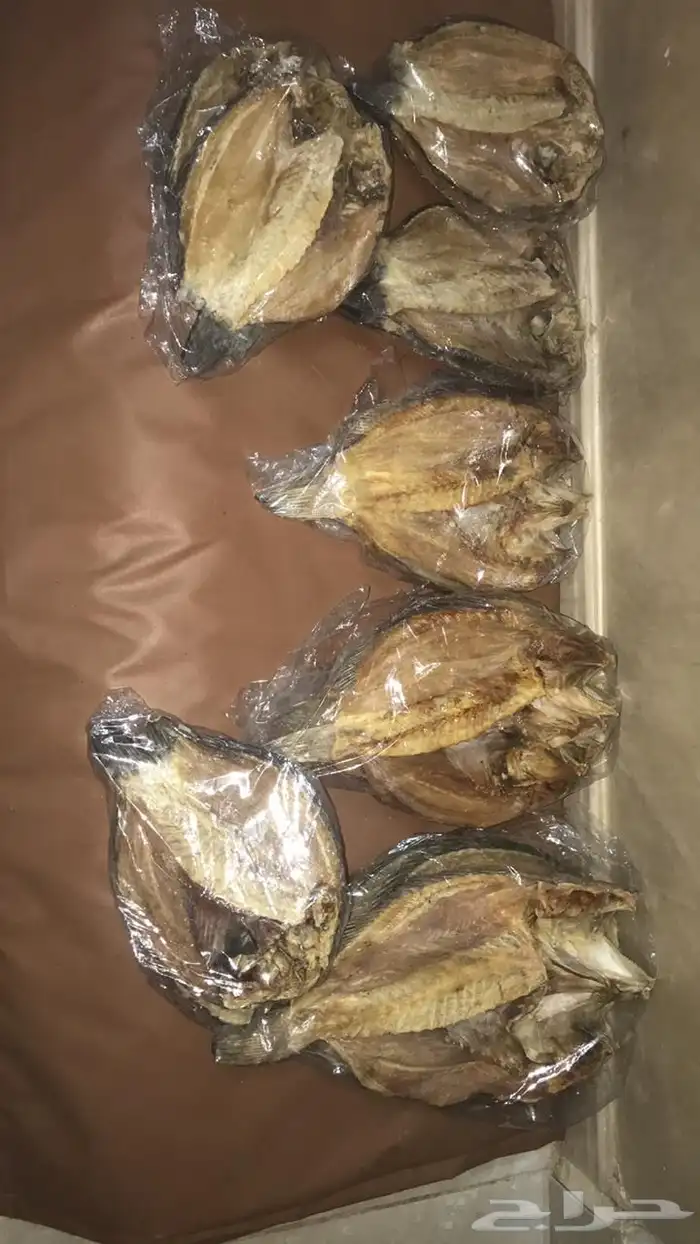 سمك ناشف قشيط حوت صرمباق ناشف 2