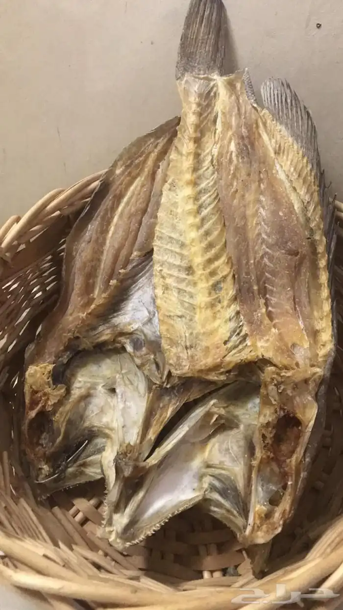 سمك ناشف قشيط حوت صرمباق ناشف 1