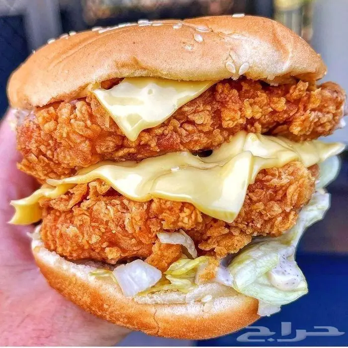 مدير تشغيل وتنفيذي مطاعم وبراندات 10