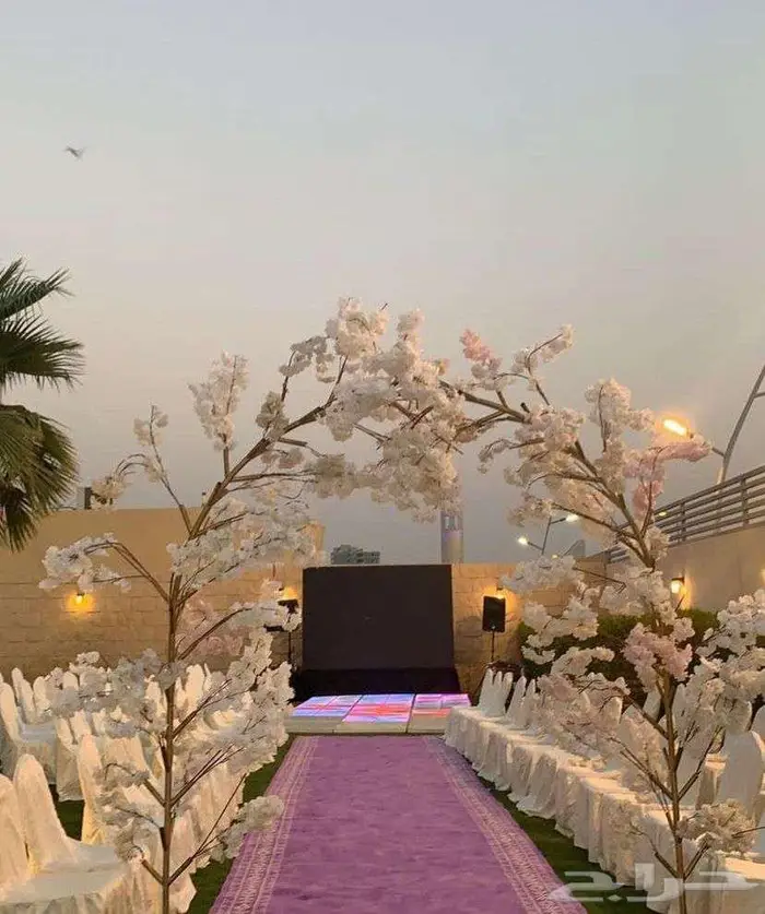 لايجار سجاد الخزامى 15