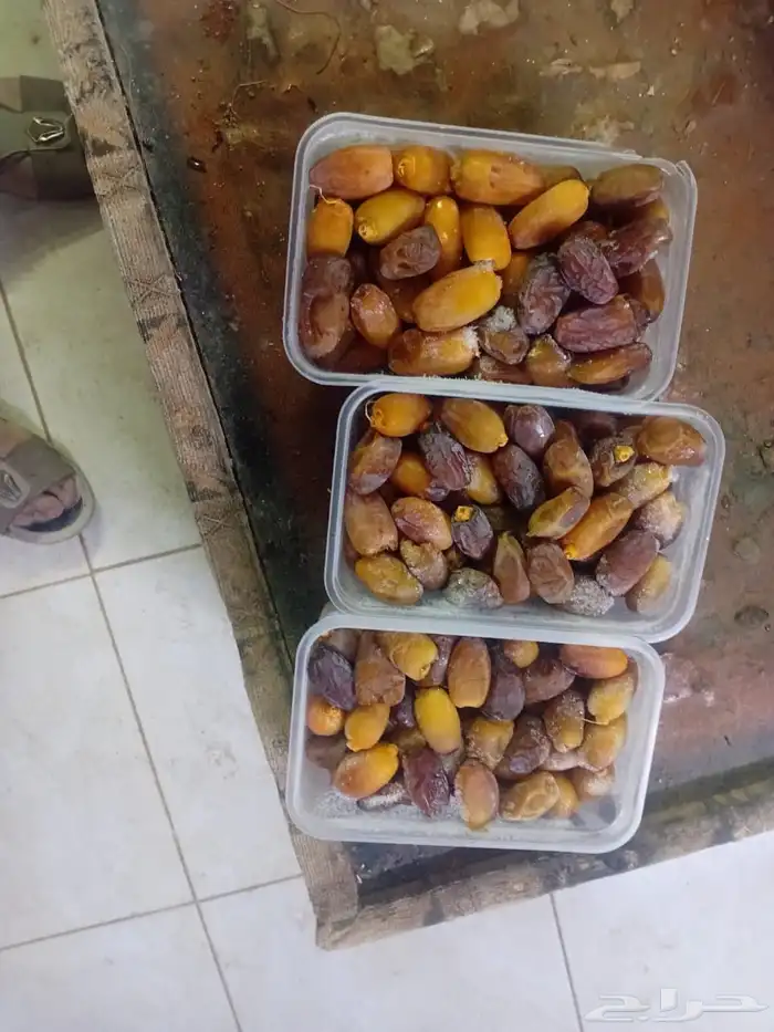 رطب برني العلا وزن كيلو للبيع 2