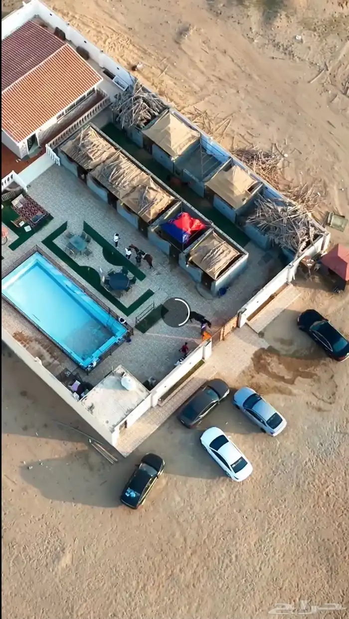 ايواء عسف اعادة عسف اسطبل درة العروس 6