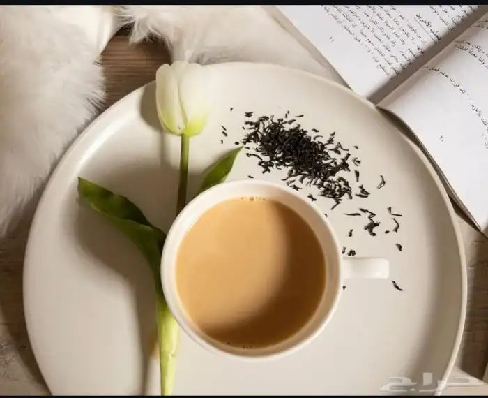 مصوره منتجاتكم بأسعار منافسه 5