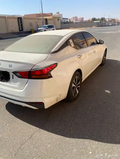 التيما خليجية شبه مخزنة من عام 3