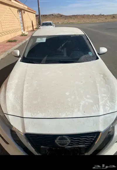 التيما خليجية شبه مخزنة من عام 6