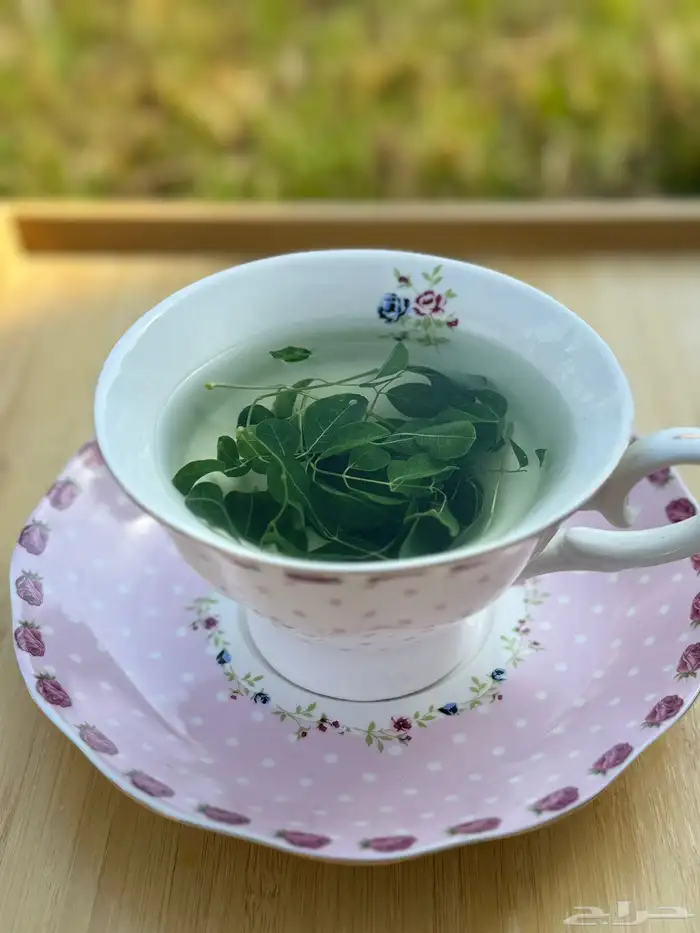 مورينجنا عضويه 2