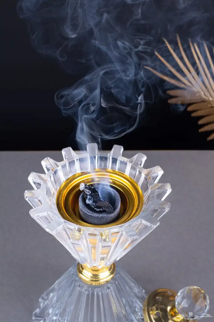 الحق عروض التصوير الفوتوغرافي 18