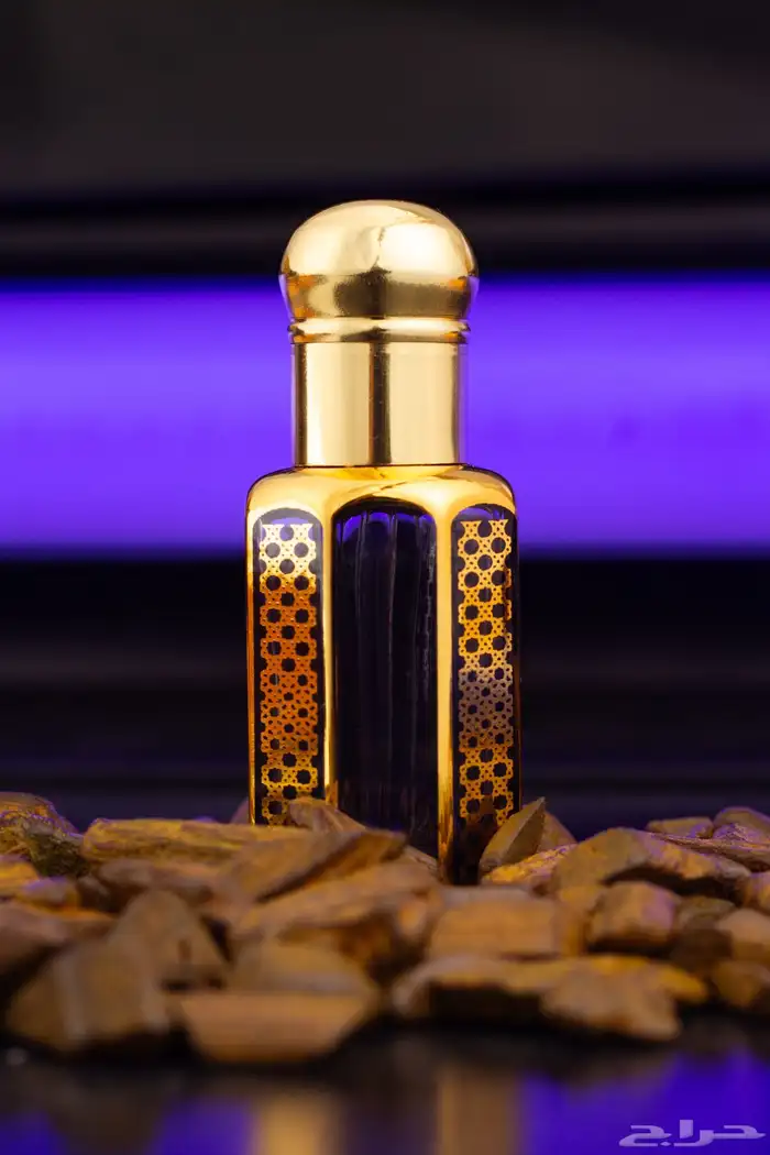 الحق عروض التصوير الفوتوغرافي 14