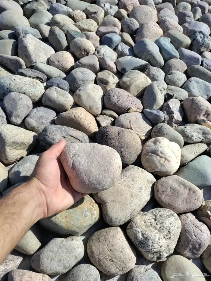 حجر نهري لزينة الحدائق والممرات 9
