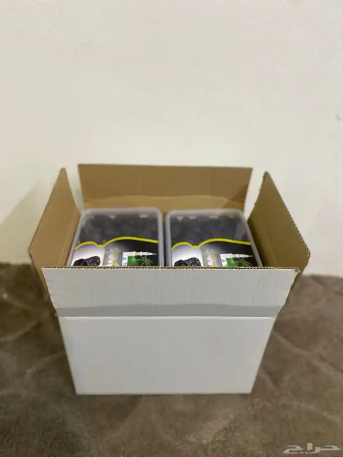 عجوة المدينة 3