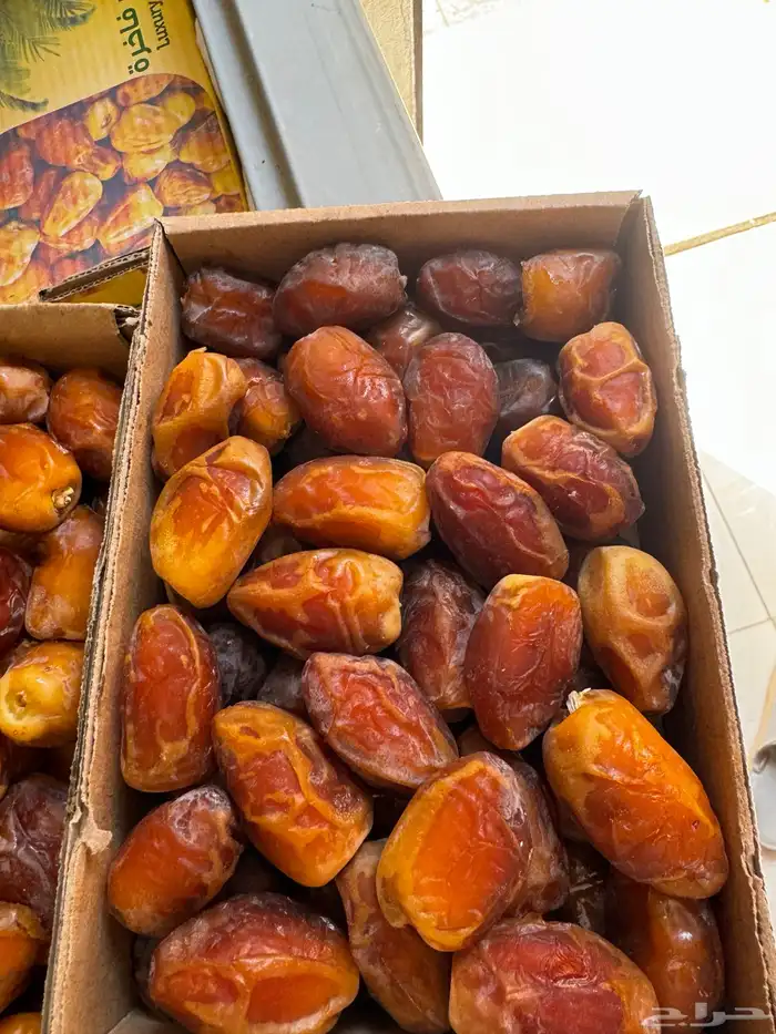 للبيع تمور فاخرة وجوده عليه مفرزن انتاج مزارعنا لعام 1446 13
