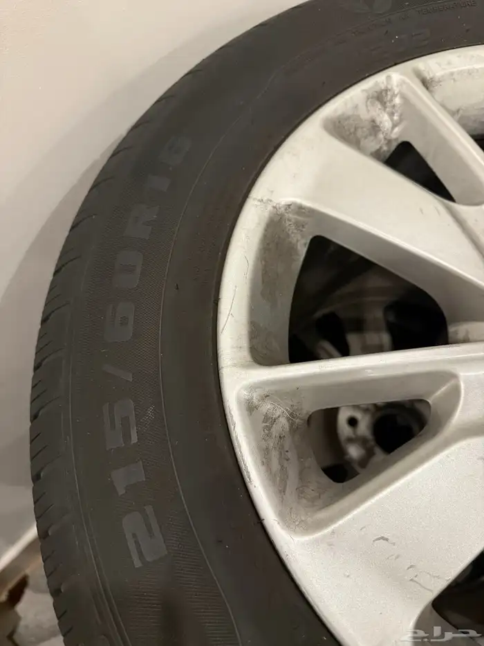 جنوط بكفرها 3