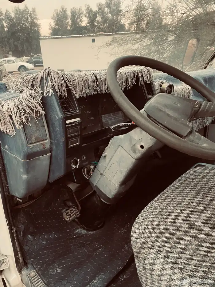 دينا ايسوزو 1992 3