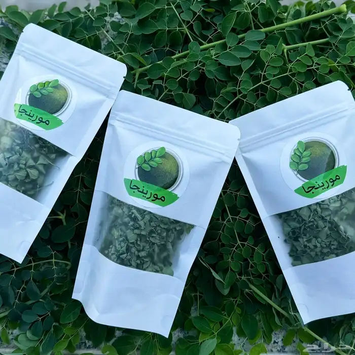 مورينجنا عضويه 1