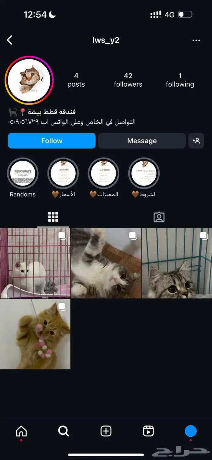 فندقة قطط 0