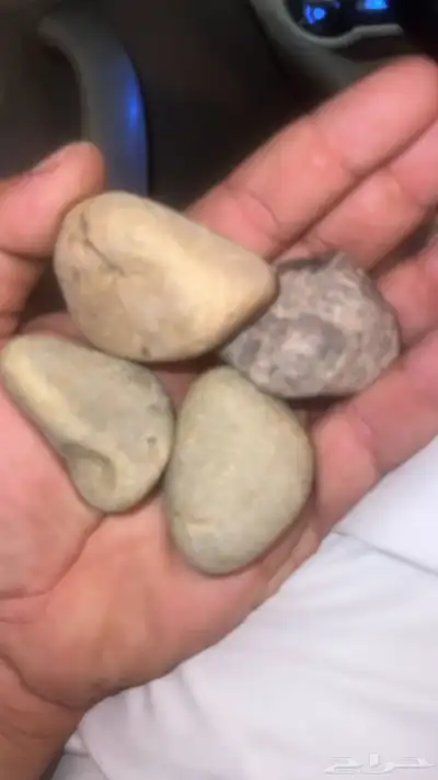 حجر نهري للزينة الحدائق 6