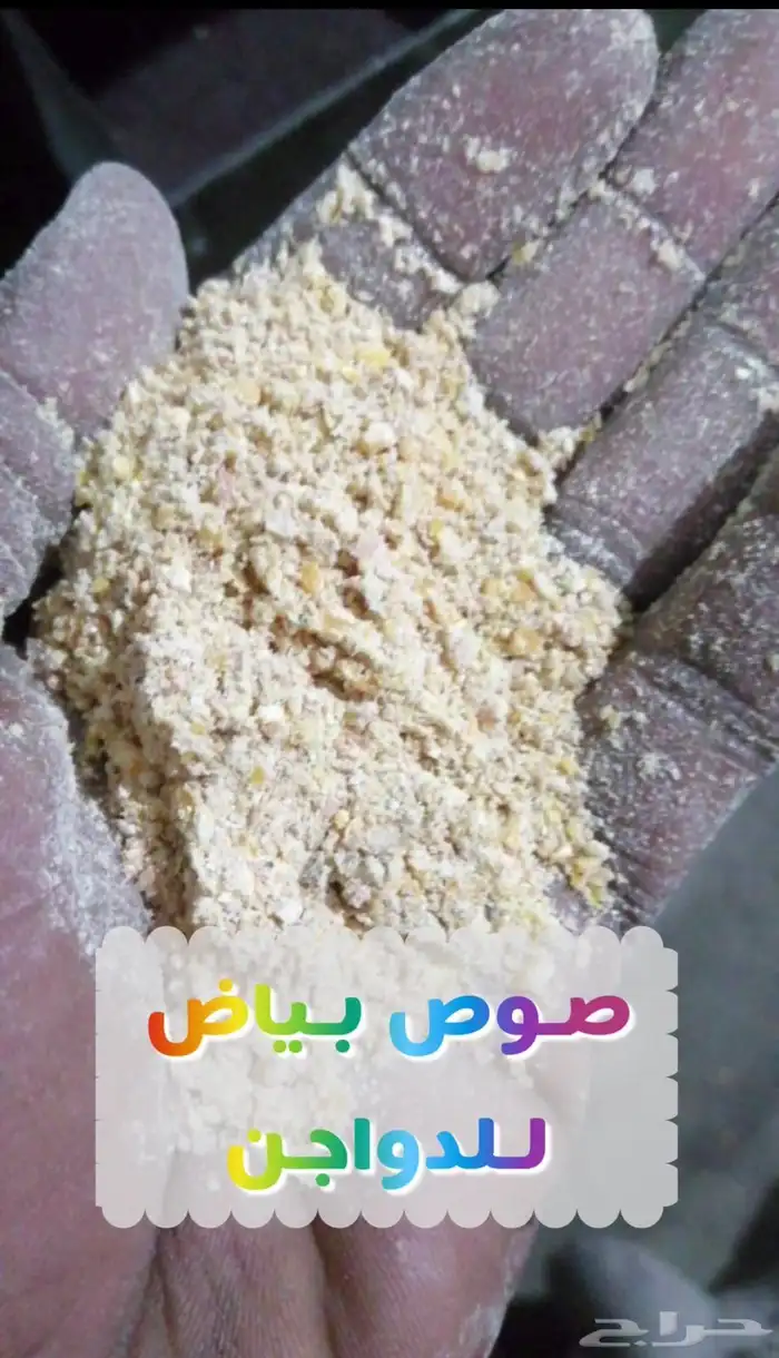 أعلاف دواجن وحمام و روز و كروان و طيور حب 11