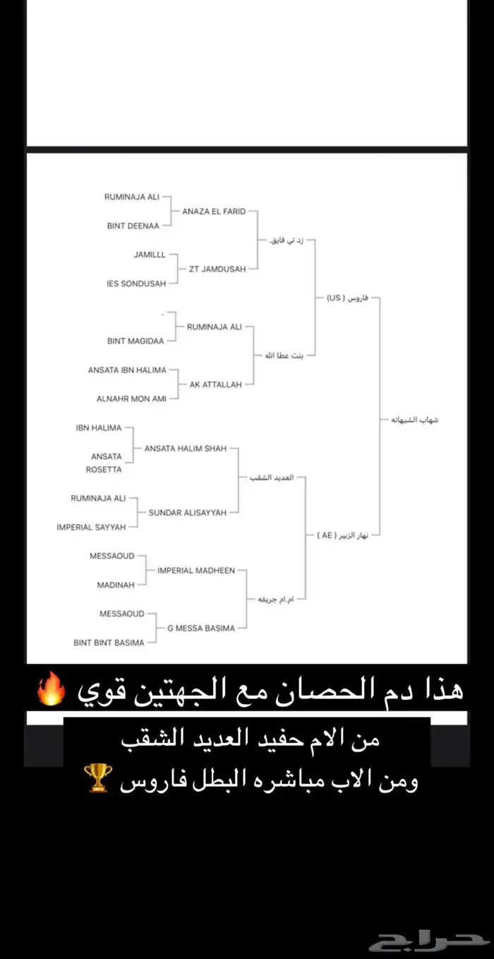 حصان واهو 5
