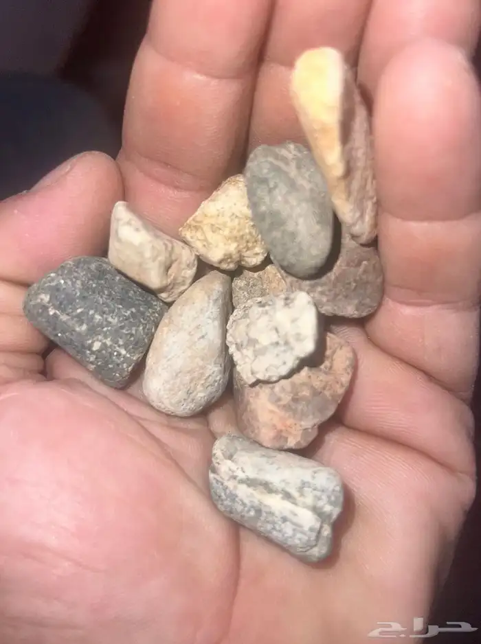 حجر نهري حصى الوادي وأنواع اخرى 12
