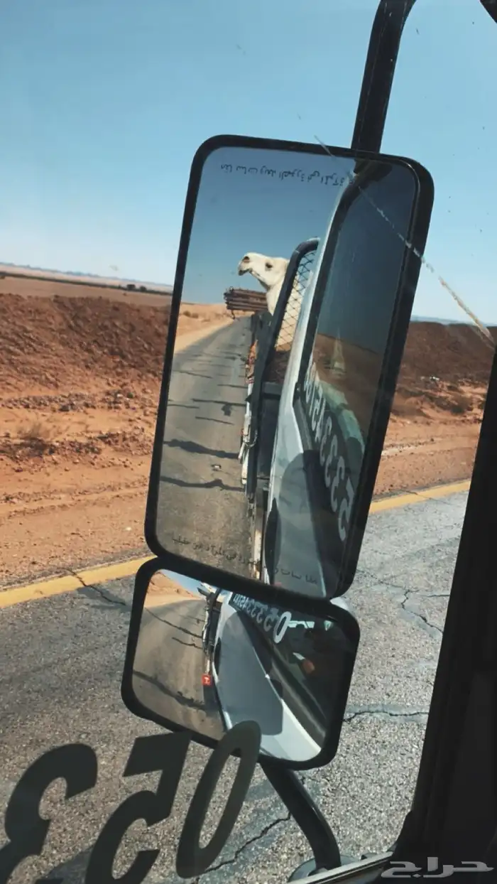 دنه ونش 0