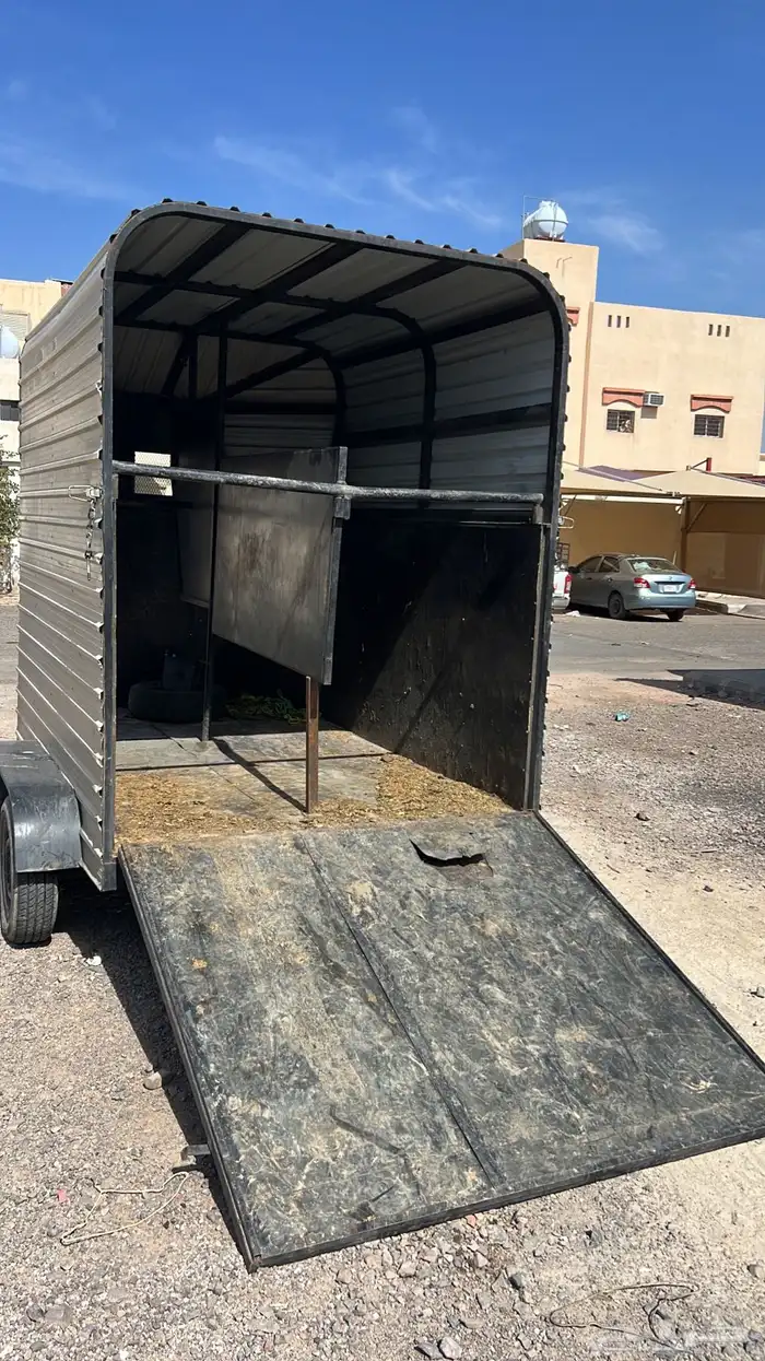 عربه خيل راسين للبيع نضيف علئ الشرط 4