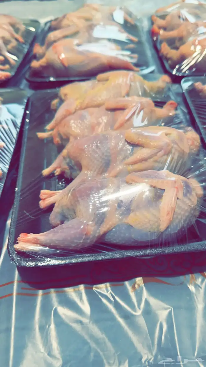 سمان فري 3