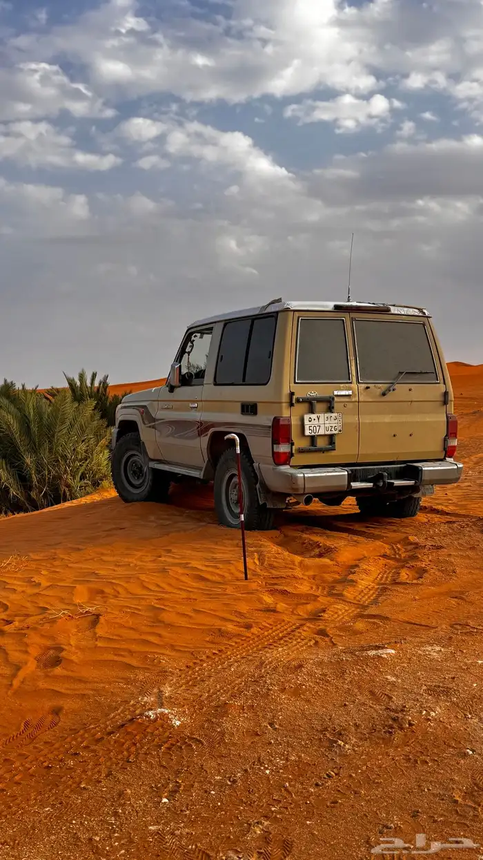 جيب ربع 2015 1