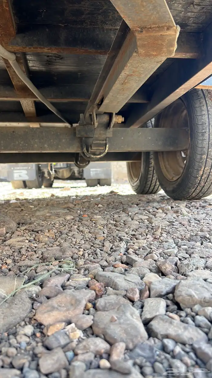 عربه خيل راسين للبيع نضيف علئ الشرط 2