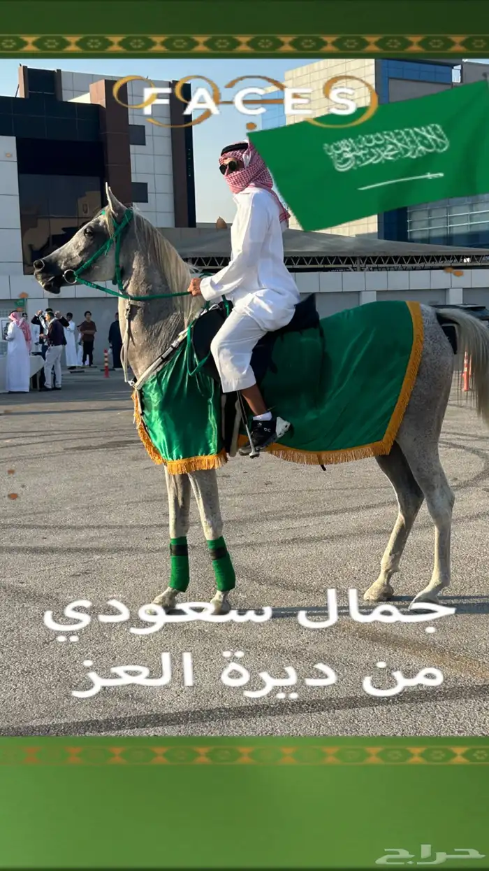 اسطبل ومربط الصحبة لإيواء وبيع وشراء الخيل 7