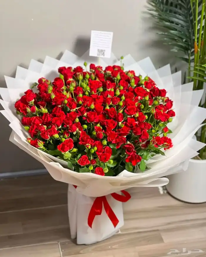 مندوب هدايا جدة بدا استقبال هدايا يوم الحب ( الفالنتاين) 23