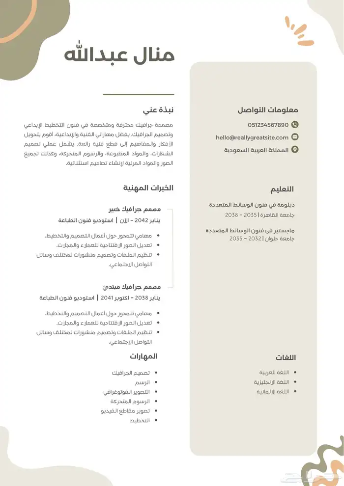 سيرة ذاتية احترافية 0