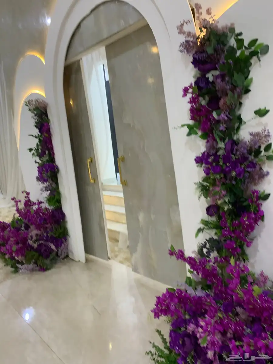كوش ملكه كوش زواج 13