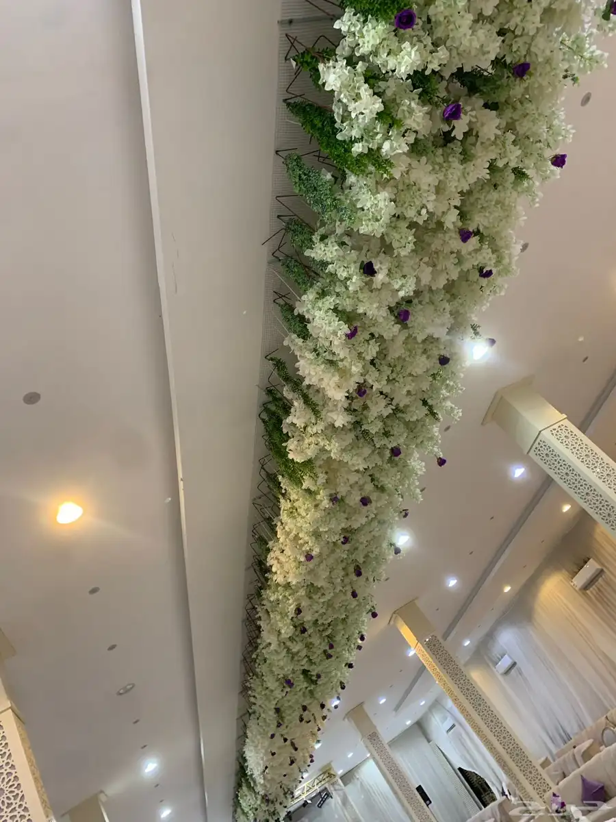 كوش ملكه كوش زواج 12