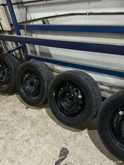 جنوط الإنترا 15 1