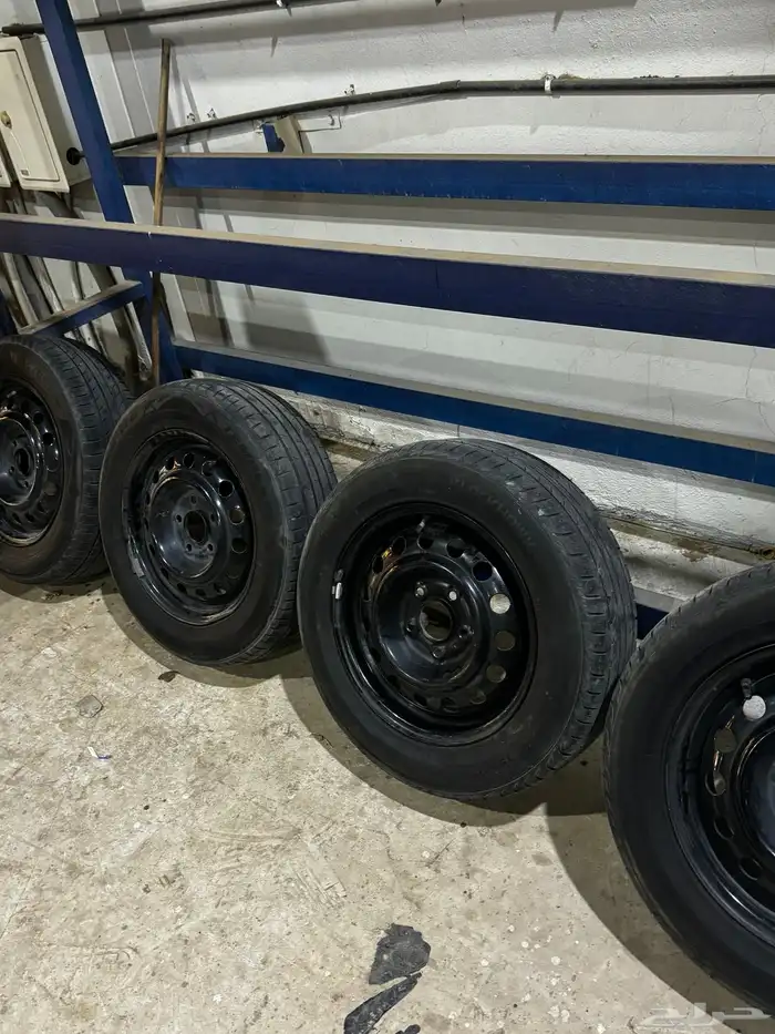 جنوط الإنترا 15 1
