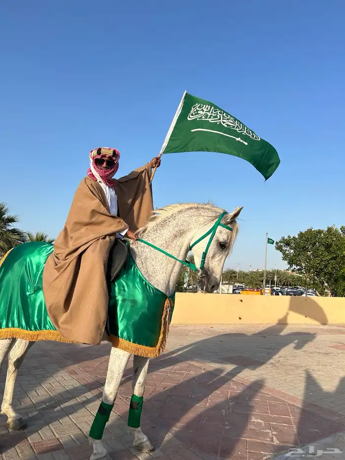 اسطبل ومربط الصحبة لإيواء وبيع وشراء الخيل 9