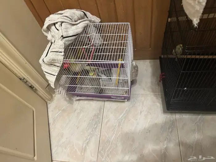 عدد 3 قفص حيوانات وطيور تحديث تحديث 3