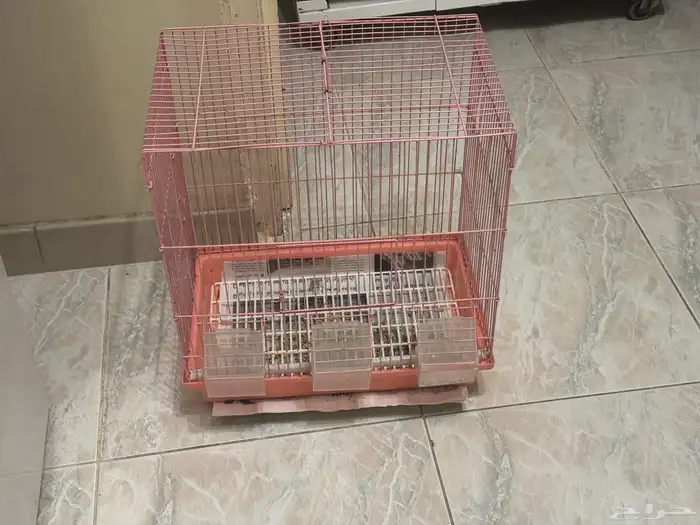 عدد 3 قفص حيوانات وطيور تحديث تحديث 2