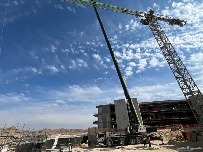 كرينات للايجار من 50 الي 500 (Cranes for rent 50 to 500) 8