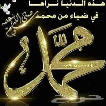 مطلوب شيول 0