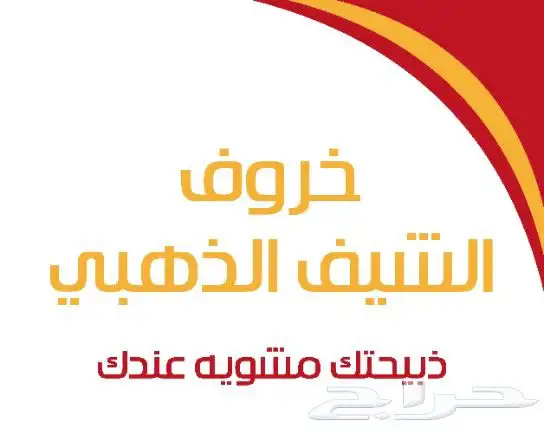 شوي خروف بوسني ع السيخ 20