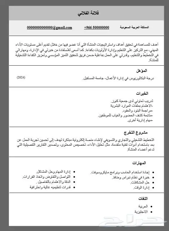 سيرة ذاتية احترافية 0